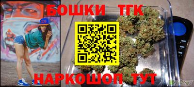 тгк Можга