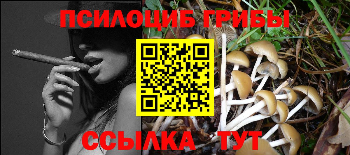 Галлюциногенные грибы Psilocybe Сухой Лог