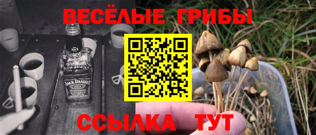 Сухой Лог  Псилоцибиновые грибы Psilocybine cubensis  Вход с VPN 
